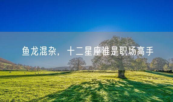 鱼龙混杂，十二星座谁是职场高手(图1)