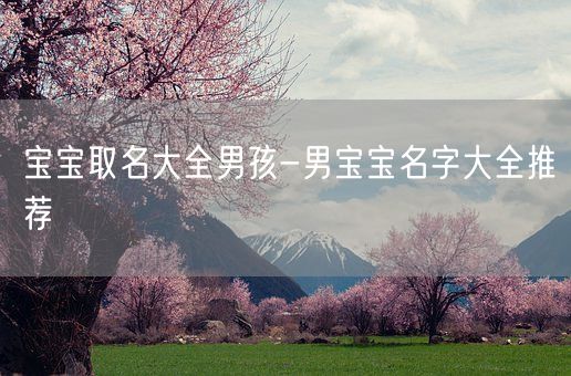 宝宝取名大全男孩-男宝宝名字大全推荐(图1)