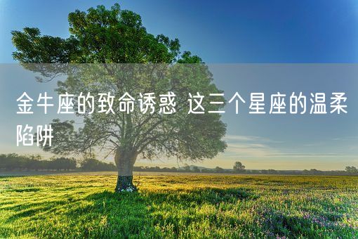 金牛座的致命诱惑 这三个星座的温柔陷阱(图1)