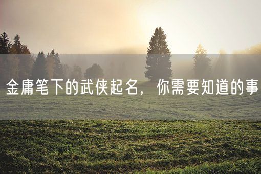 金庸笔下的武侠起名，你需要知道的事(图1)