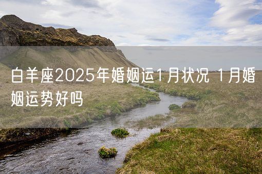 白羊座2025年婚姻运1月状况 1月婚姻运势好吗(图1)