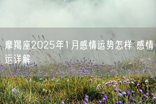 摩羯座2025年1月感情运势怎样 感情运详解(图1)