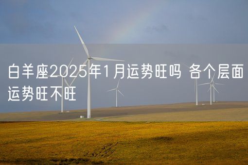 白羊座2025年1月运势旺吗 各个层面运势旺不旺(图1)