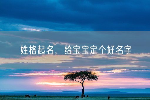 姓格起名，给宝宝定个好名字(图1)