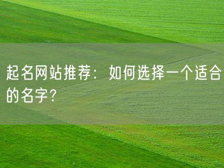起名网站推荐：如何选择一个适合的名字？(图1)