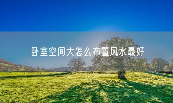 卧室空间大怎么布置风水最好(图1)