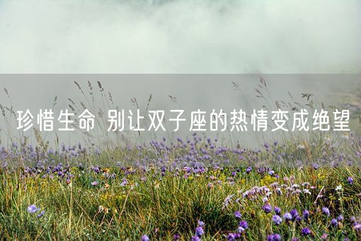 珍惜生命 别让双子座的热情变成绝望(图1)
