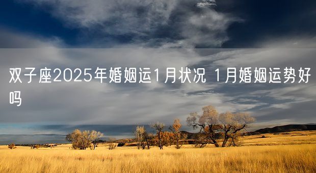 双子座2025年婚姻运1月状况 1月婚姻运势好吗(图1)