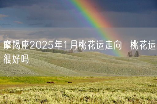 摩羯座2025年1月桃花运走向  桃花运很好吗(图1)