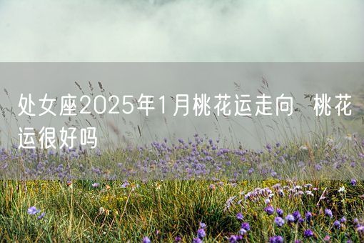 处女座2025年1月桃花运走向  桃花运很好吗(图1)