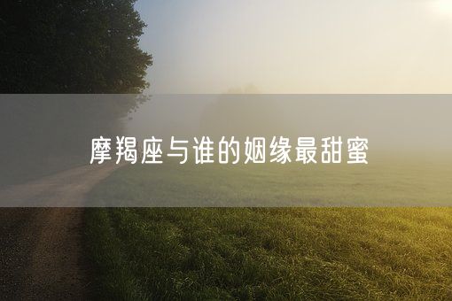 摩羯座与谁的姻缘最甜蜜(图1)