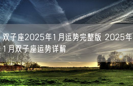 双子座2025年1月运势完整版 2025年1月双子座运势详解(图1)