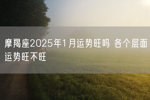 摩羯座2025年1月运势旺吗 各个层面运势旺不旺(图1)