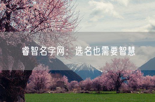 睿智名字网：选名也需要智慧(图1)