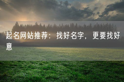起名网站推荐：找好名字，更要找好意(图1)