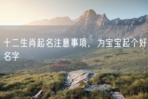 十二生肖起名注意事项，为宝宝起个好名字(图1)