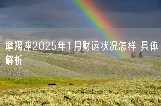 摩羯座2025年1月财运状况怎样 具体解析(图1)