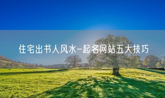 住宅出书人风水-起名网站五大技巧(图1)