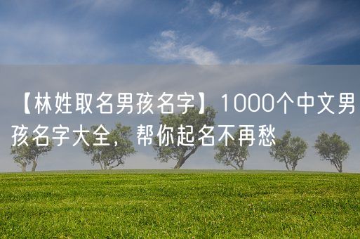【林姓取名男孩名字】1000个中文男孩名字大全，帮你起名不再愁(图1)