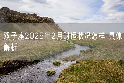 双子座2025年2月财运状况怎样 具体解析(图1)