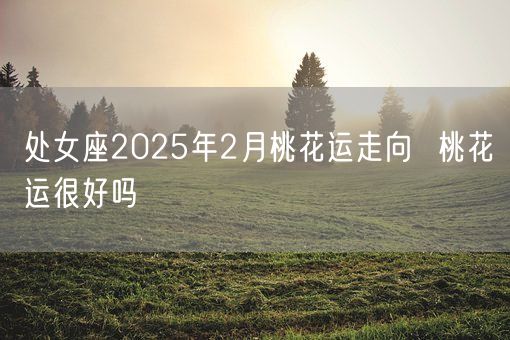 处女座2025年2月桃花运走向  桃花运很好吗(图1)