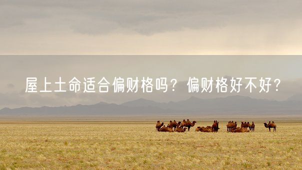 屋上土命适合偏财格吗？偏财格好不好？(图1)