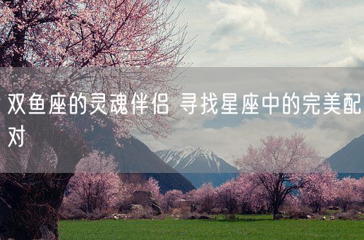 双鱼座的灵魂伴侣 寻找星座中的完美配对(图1)