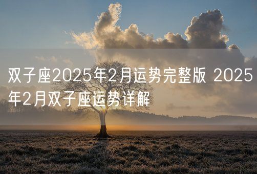 双子座2025年2月运势完整版 2025年2月双子座运势详解(图1)