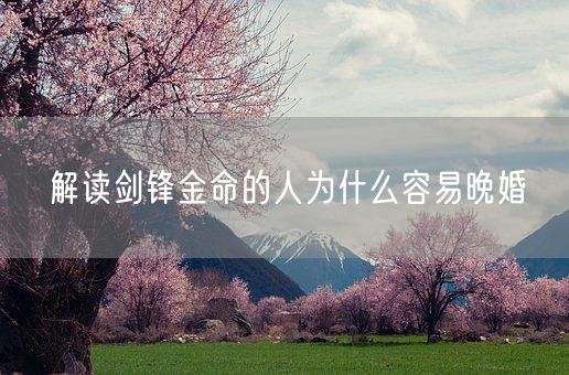 解读剑锋金命的人为什么容易晚婚(图1)