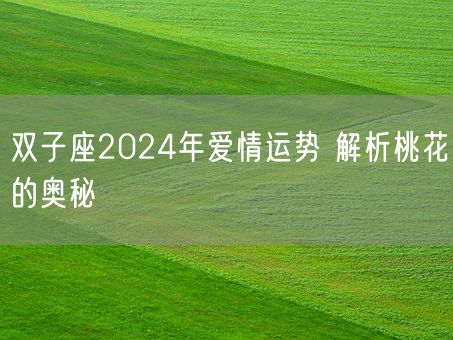 双子座2024年爱情运势 解析桃花的奥秘(图1)