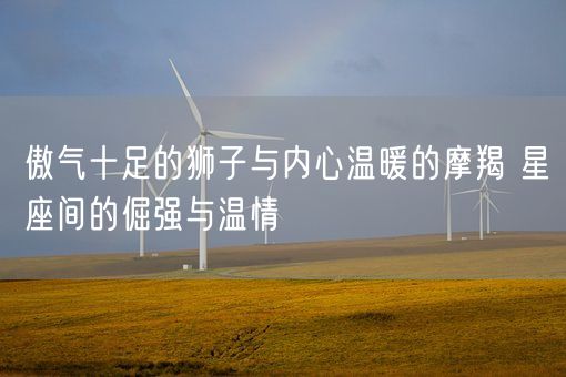 傲气十足的狮子与内心温暖的摩羯 星座间的倔强与温情(图1)