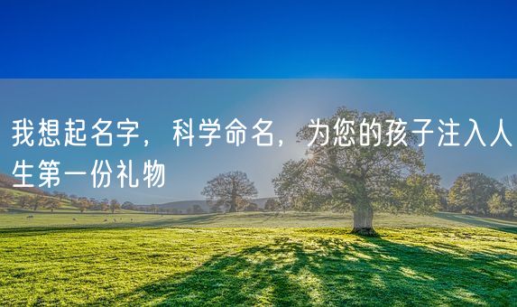 我想起名字，科学命名，为您的孩子注入人生第一份礼物(图1)