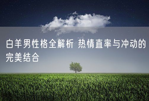 白羊男性格全解析 热情直率与冲动的完美结合(图1)