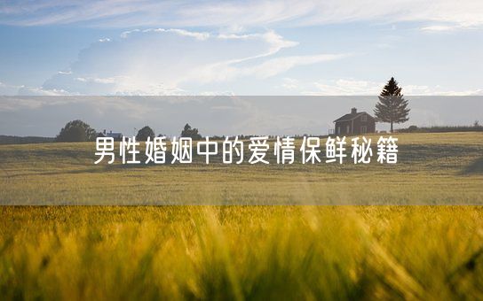 男性婚姻中的爱情保鲜秘籍(图1)