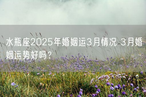 水瓶座2025年婚姻运3月情况 3月婚姻运势好吗？(图1)