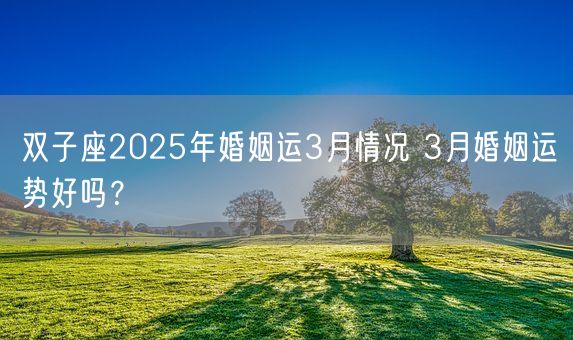 双子座2025年婚姻运3月情况 3月婚姻运势好吗？(图1)