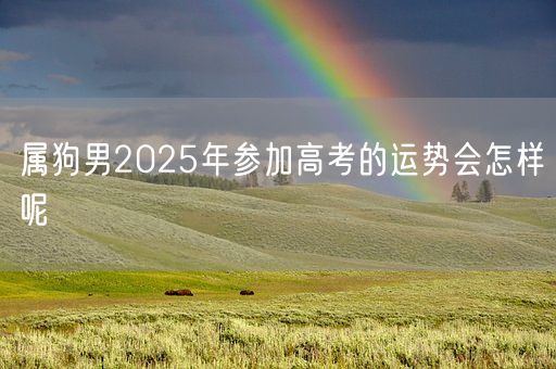 属狗男2025年参加高考的运势会怎样呢(图1)
