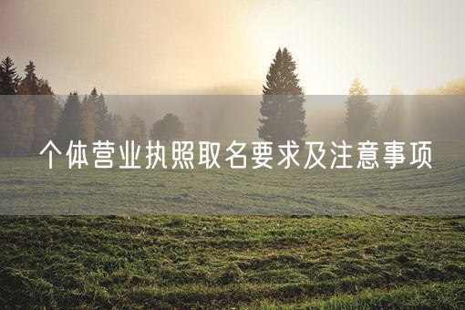 个体营业执照取名要求及注意事项(图1)
