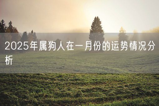 2025年属狗人在一月份的运势情况分析(图1)