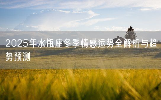 2025年水瓶座冬季情感运势全解析与趋势预测(图1)
