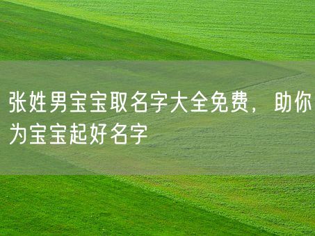 张姓男宝宝取名字大全免费，助你为宝宝起好名字(图1)