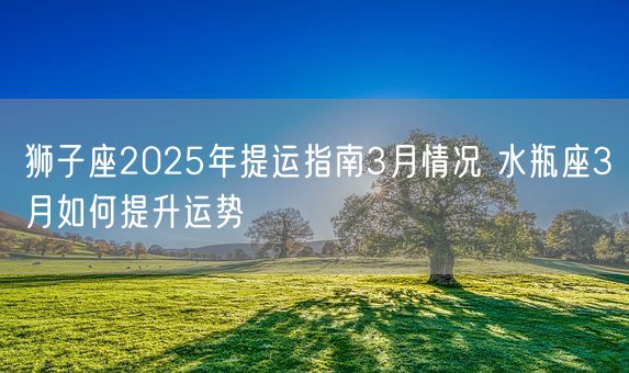 狮子座2025年提运指南3月情况 水瓶座3月如何提升运势(图1)