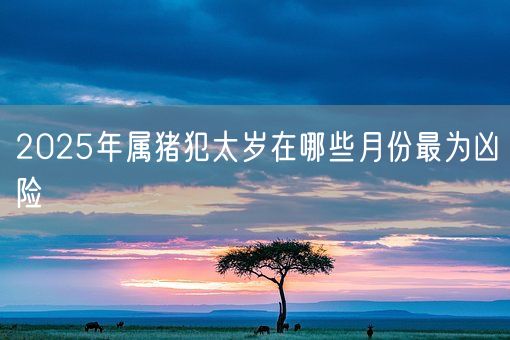 2025年属猪犯太岁在哪些月份最为凶险(图1)
