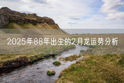 2025年88年出生的2月龙运势分析(图1)