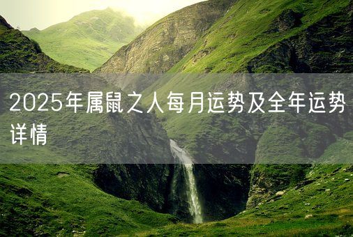 2025年属鼠之人每月运势及全年运势详情(图1)