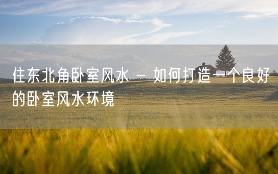 住东北角卧室风水 - 如何打造一个良好的卧室风水环境(图1)