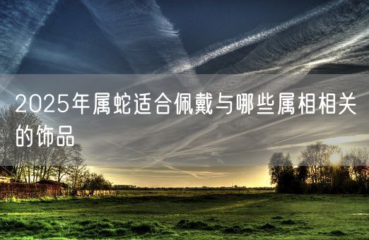 2025年属蛇适合佩戴与哪些属相相关的饰品(图1)