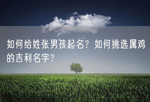 如何给姓张男孩起名？如何挑选属鸡的吉利名字？(图1)