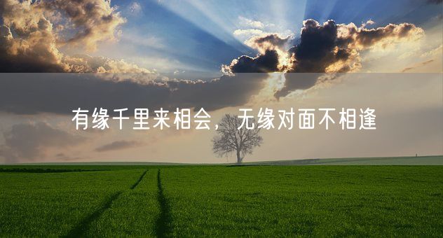 有缘千里来相会，无缘对面不相逢(图1)