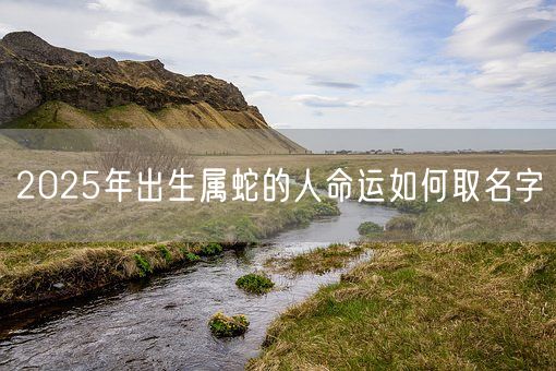 2025年出生属蛇的人命运如何取名字(图1)